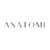 Anatomi