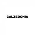 Calzedonia