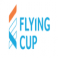 Flying Cup