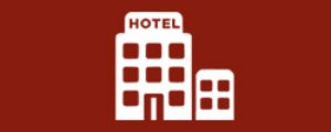 Hotel Bookings